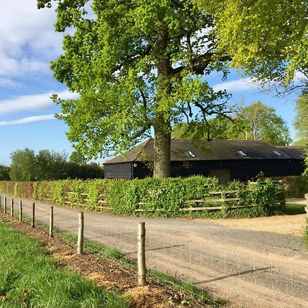 Bed and Breakfast Mulberry Barn Micheldever Exterior foto